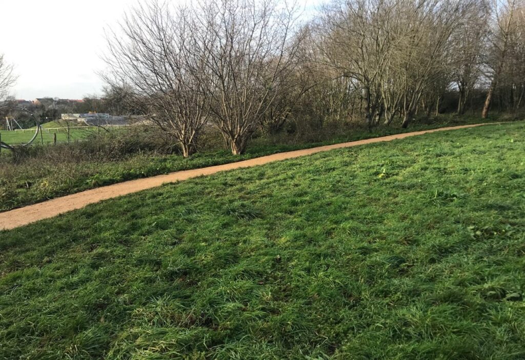Quarr Path Improvements
